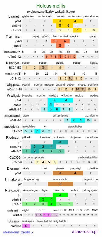 ekologiczne liczby wskaźnikowe Holcus mollis (kłosówka miękka)