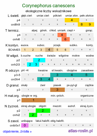 ekologiczne liczby wskaźnikowe Corynephorus canescens (szczotlicha siwa)