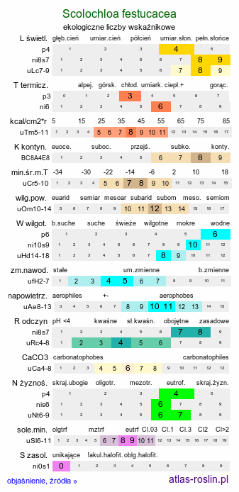 ekologiczne liczby wskaźnikowe Scolochloa festucacea (skolochloa trzcinowata)