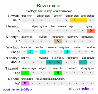 ekologiczne liczby wskaźnikowe Briza minor (drżączka mniejsza)