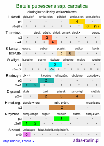 ekologiczne liczby wskaźnikowe Betula pubescens ssp. carpatica (brzoza omszona karpacka)