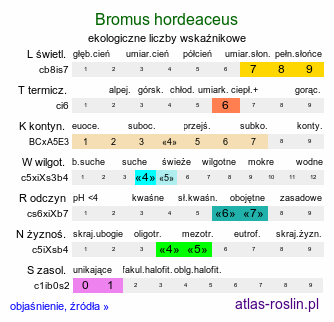 ekologiczne liczby wskaźnikowe Bromus hordeaceus (stokłosa miękka)