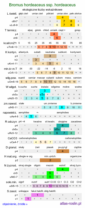 ekologiczne liczby wskaźnikowe Bromus hordeaceus ssp. hordeaceus (stokłosa miękka typowa)