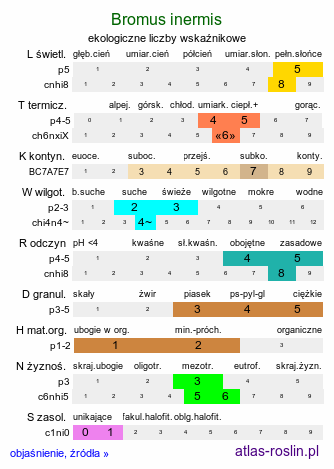 ekologiczne liczby wskaźnikowe Bromus inermis (stokłosa bezostna)