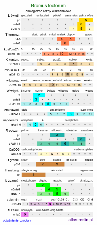 ekologiczne liczby wskaźnikowe Bromus tectorum (stokłosa dachowa)