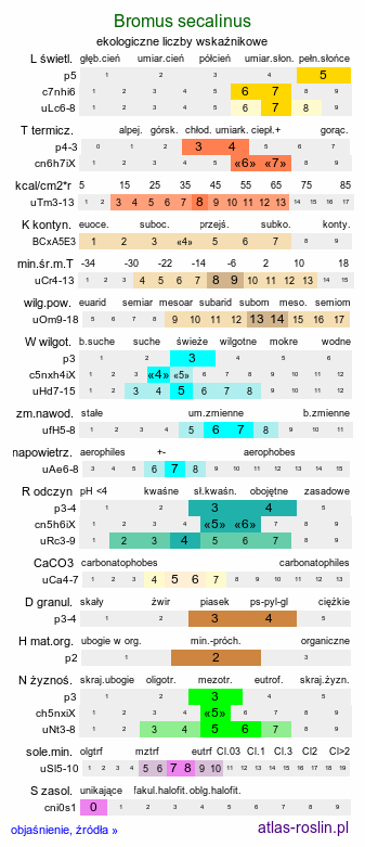 ekologiczne liczby wskaźnikowe Bromus secalinus (stokłosa żytnia)