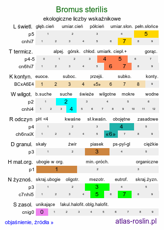 ekologiczne liczby wskaźnikowe Bromus sterilis (stokłosa płonna)