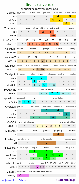 ekologiczne liczby wskaźnikowe Bromus arvensis (stokłosa polna)