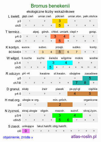 ekologiczne liczby wskaźnikowe Bromus benekenii (stokłosa Benekena)