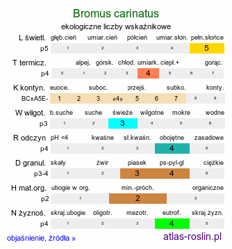 ekologiczne liczby wskaźnikowe Bromus carinatus (stokłosa spłaszczona)