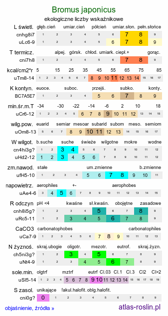 ekologiczne liczby wskaźnikowe Bromus japonicus (stokłosa japońska)