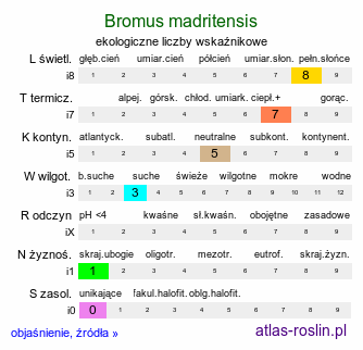 ekologiczne liczby wskaźnikowe Bromus madritensis (stokłosa madrycka)