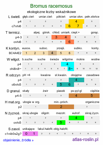 ekologiczne liczby wskaźnikowe Bromus racemosus (stokłosa groniasta)