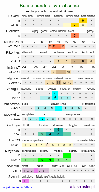 ekologiczne liczby wskaźnikowe Betula pendula ssp. obscura (brzoza ciemna)