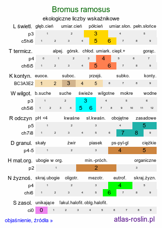 ekologiczne liczby wskaźnikowe Bromus ramosus (stokłosa gałęzista)