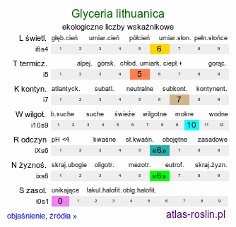 ekologiczne liczby wskaźnikowe Glyceria lithuanica (manna litewska)