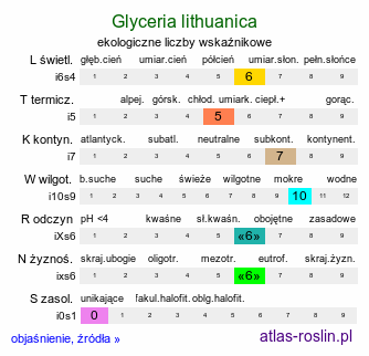 ekologiczne liczby wskaźnikowe Glyceria lithuanica (manna litewska)