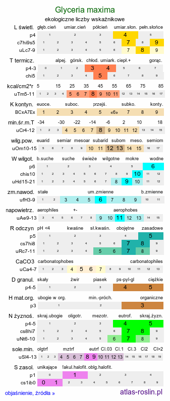 ekologiczne liczby wskaźnikowe Glyceria maxima (manna mielec)