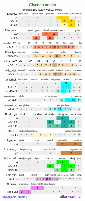 ekologiczne liczby wskaźnikowe Glyceria notata (manna fałdowana)