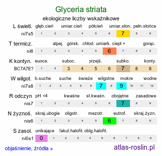 ekologiczne liczby wskaźnikowe Glyceria striata (manna prążkowana)