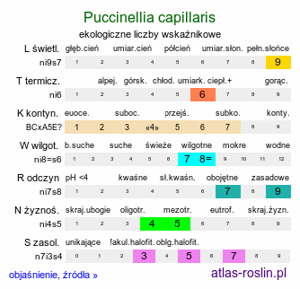 ekologiczne liczby wskaźnikowe Puccinellia capillaris (mannica delikatna)