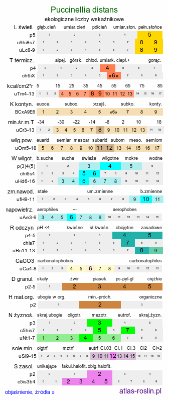 ekologiczne liczby wskaźnikowe Puccinellia distans (mannica odstająca)