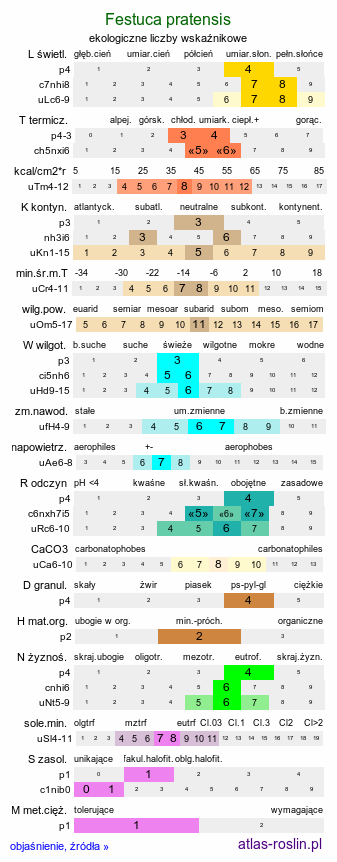 ekologiczne liczby wskaźnikowe Festuca pratensis (kostrzewa łąkowa)