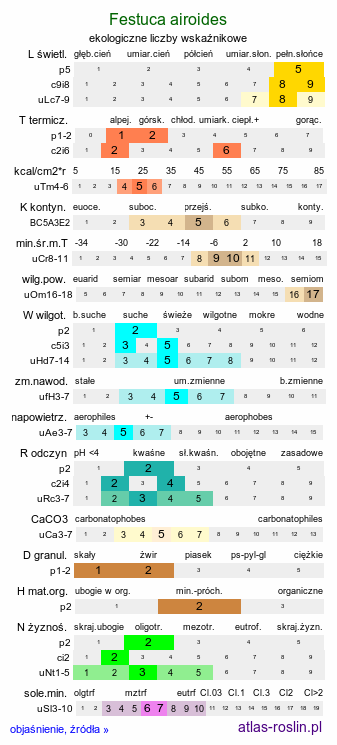 ekologiczne liczby wskaźnikowe Festuca airoides (kostrzewa niska)
