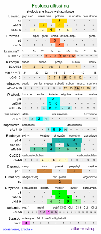 ekologiczne liczby wskaźnikowe Festuca altissima (kostrzewa leśna)