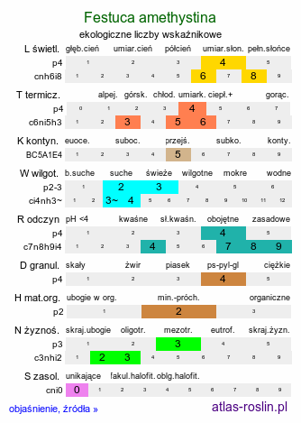 ekologiczne liczby wskaźnikowe Festuca amethystina (kostrzewa ametystowa)