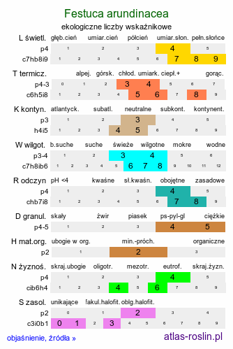 ekologiczne liczby wskaźnikowe Festuca arundinacea (kostrzewa trzcinowata)