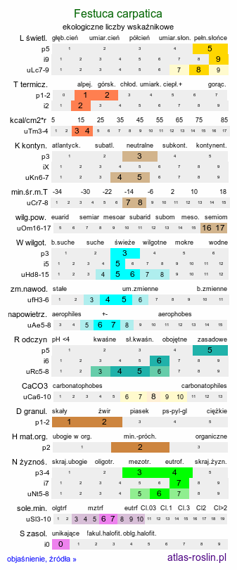 ekologiczne liczby wskaźnikowe Festuca carpatica (kostrzewa karpacka)