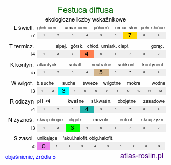 ekologiczne liczby wskaźnikowe Festuca diffusa (kostrzewa rozpierzchła)