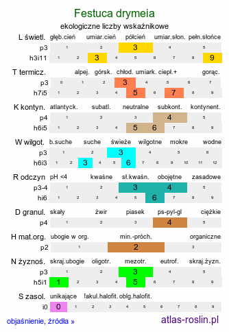 ekologiczne liczby wskaźnikowe Festuca drymeia (kostrzewa górska)