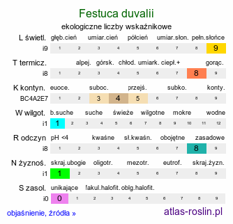 ekologiczne liczby wskaźnikowe Festuca duvalii (kostrzewa Duvala)