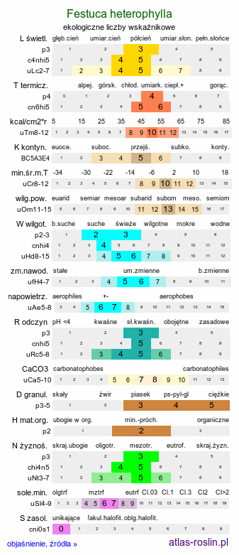 ekologiczne liczby wskaźnikowe Festuca heterophylla (kostrzewa różnolistna)