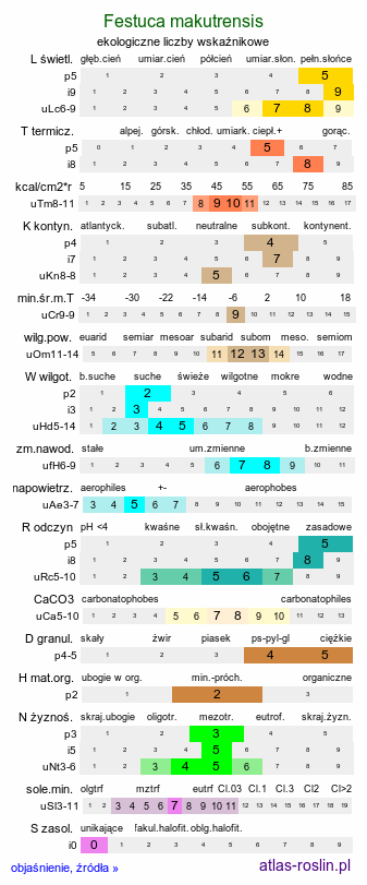 ekologiczne liczby wskaźnikowe Festuca makutrensis (kostrzewa makutrzańska)