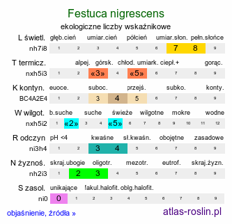 ekologiczne liczby wskaźnikowe Festuca nigrescens (kostrzewa czarniawa)