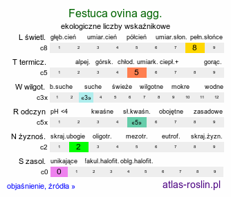 ekologiczne liczby wskaźnikowe Festuca ovina agg. (kostrzewa owcza agg.)