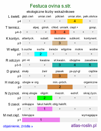 ekologiczne liczby wskaźnikowe Festuca ovina s.str. (kostrzewa owcza (s.str.))