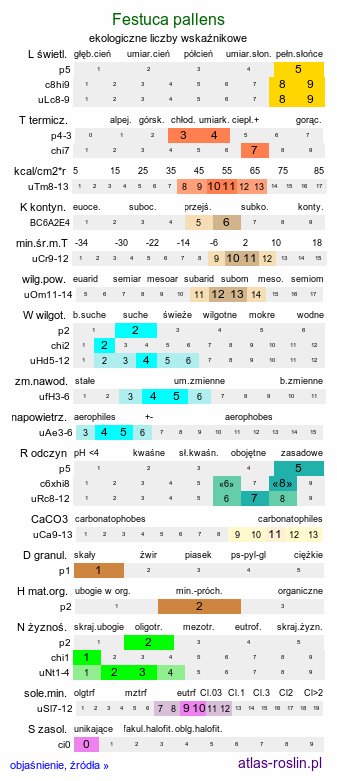ekologiczne liczby wskaźnikowe Festuca pallens (kostrzewa blada)