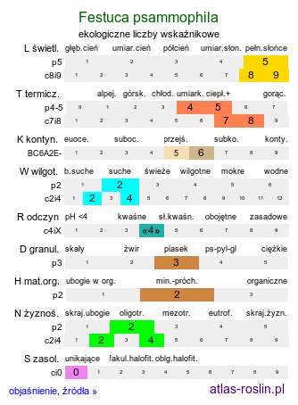 ekologiczne liczby wskaźnikowe Festuca psammophila (kostrzewa piaskowa)
