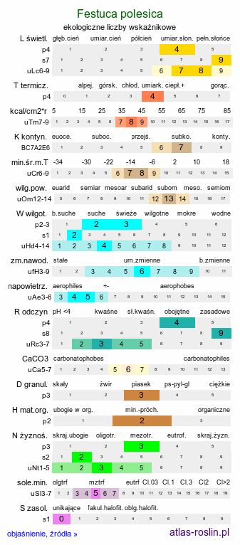 ekologiczne liczby wskaźnikowe Festuca polesica (kostrzewa poleska)