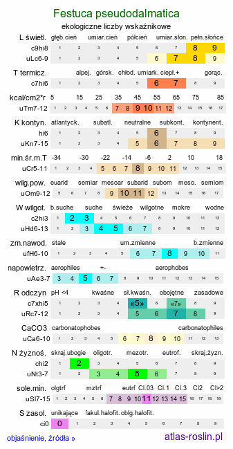 ekologiczne liczby wskaźnikowe Festuca pseudodalmatica (kostrzewa nibydalmacka)