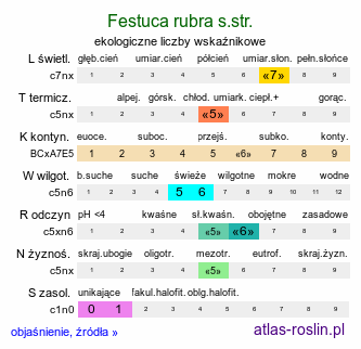 ekologiczne liczby wskaźnikowe Festuca rubra s.str. (kostrzewa czerwona s.str.)