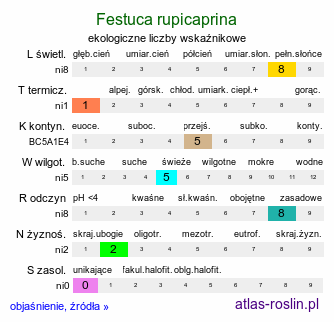 ekologiczne liczby wskaźnikowe Festuca rupicaprina (kostrzewa kozia)