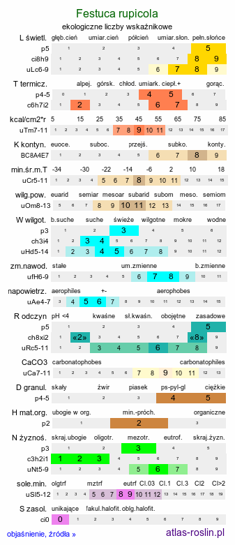 ekologiczne liczby wskaźnikowe Festuca rupicola (kostrzewa bruzdkowana)