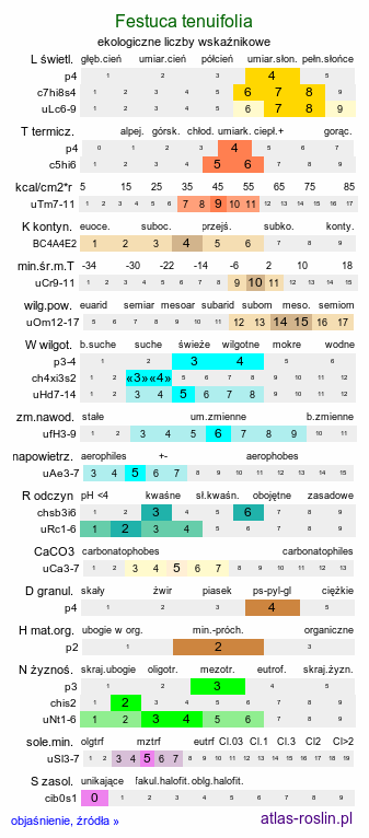 ekologiczne liczby wskaźnikowe Festuca tenuifolia (kostrzewa nitkowata)