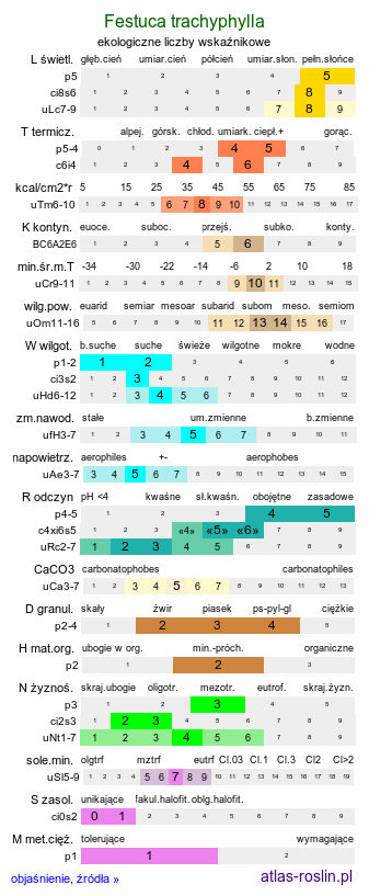 ekologiczne liczby wskaźnikowe Festuca trachyphylla (kostrzewa murawowa)