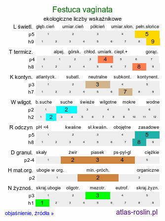 ekologiczne liczby wskaźnikowe Festuca vaginata (kostrzewa pochwiasta)